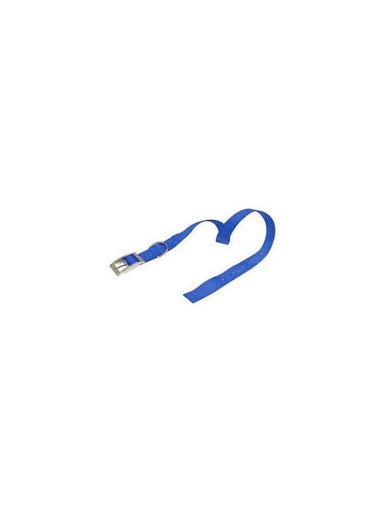 Croci Nylon Hundehalsband in Blau Farbe 16mm x 40cm