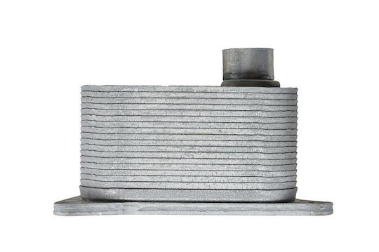 NTY Car Oil Radiator for Volkswagen Jetta / Beetle / Tiguan / Tiguan Allspace Audi Q5