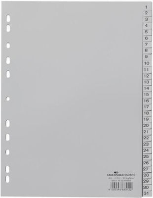 Durable Plastic Index for Documents A4 with Holes