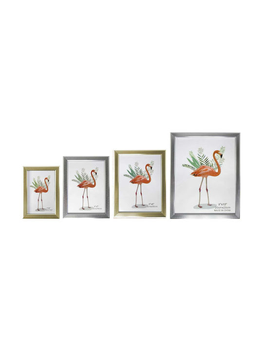 Viosarp Metallic Photo Frame With Silver Frame