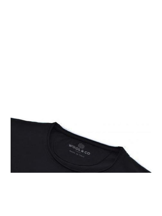 Wool & Co