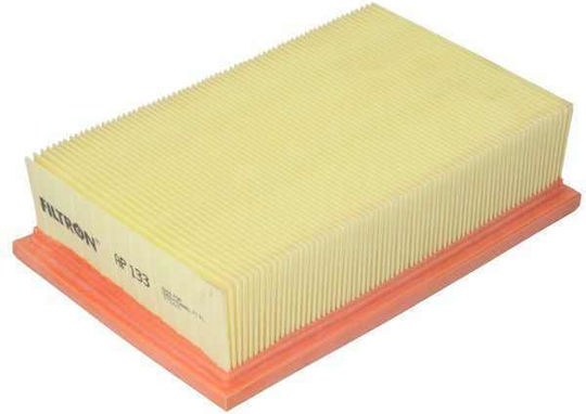 Filtron Car Air Filter for Renault Clio