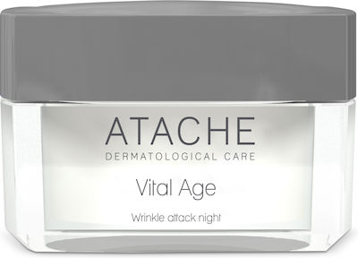 Atache Vital Age Αnti-aging & Restoring Night Cream Suitable for All Skin Types with Retinol 50ml