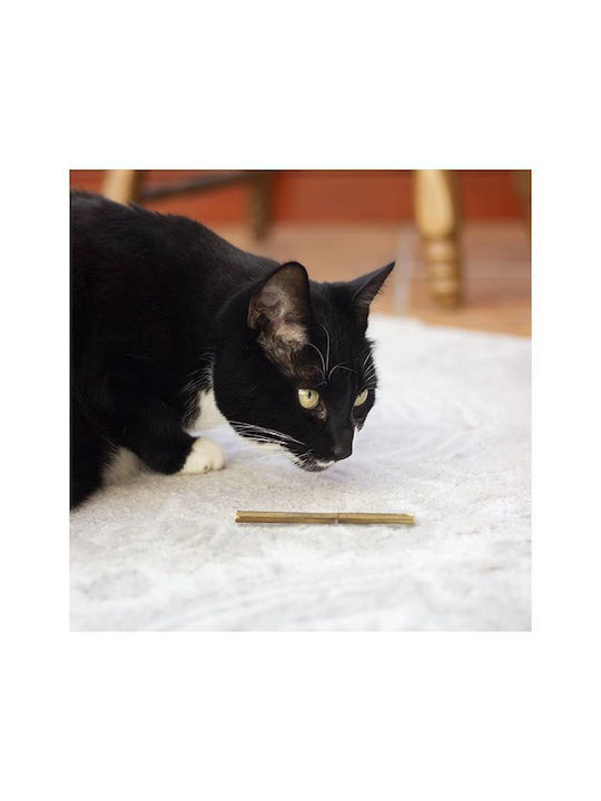 Rosewood CAT Cat Toy Rod with Catnip