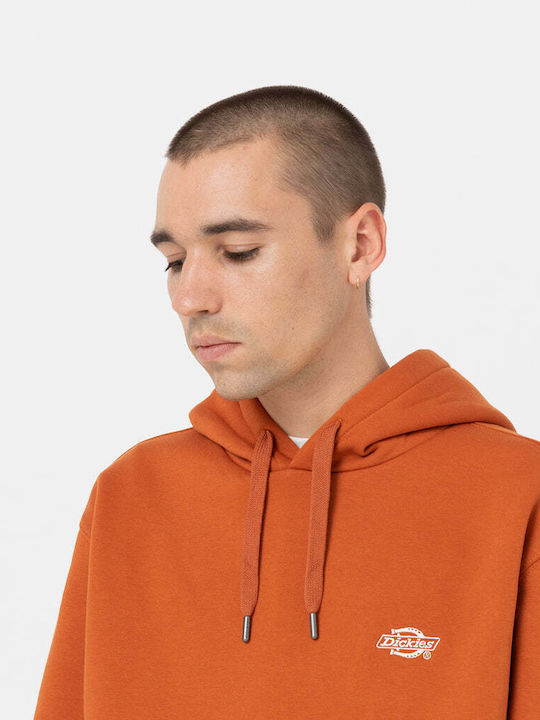 Summerdale Sweatshirt with Hood Brown