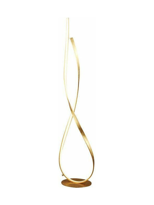 Sun Light LED Floor Lamp H134cm. Gold Sun Light LED Floor Lamp H134cm. Gold