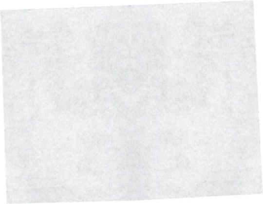 Ready Vesital Blätter 35 x 50 cm 10 Stück