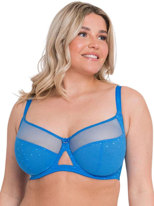 Curvy Kate Curvy Kate