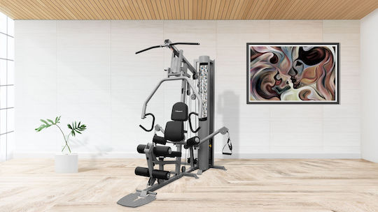 Pegasus HG6 Multi-Gym with Weights