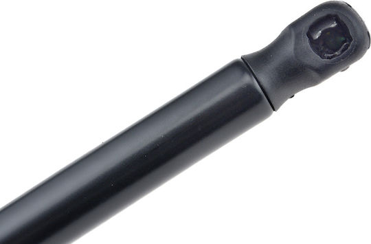 NTY Trunk Shock for Ford C-Max 2003+