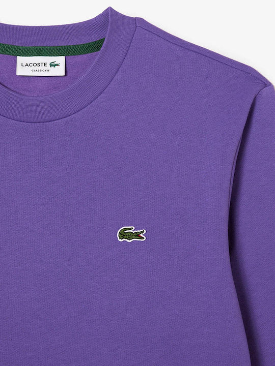 Sweatshirt with Hood Purple