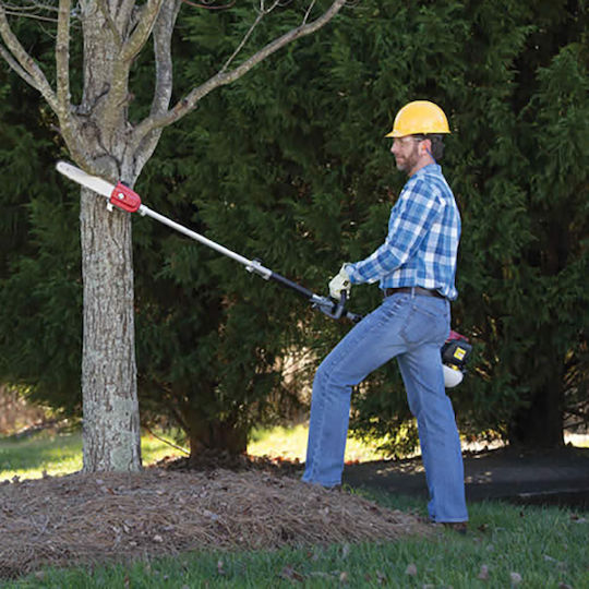 Honda Chainsaw Attachment with Blade 25cm 03SSPP-E