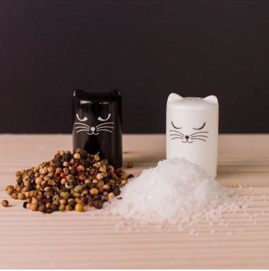 Pylones Chalt and Cheper Salt and Pepper Set Ceramic White - Black 2pcs