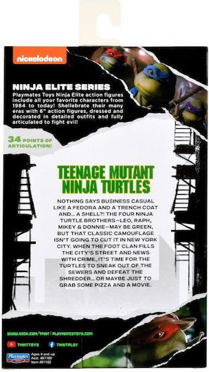 Teenage Mutant Ninja Turtles Action Figure