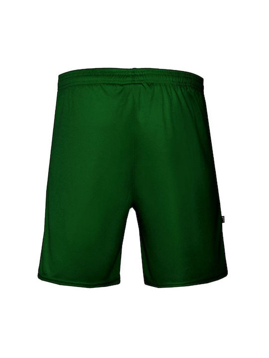 Zina Kids Shorts/Bermuda Fabric Green