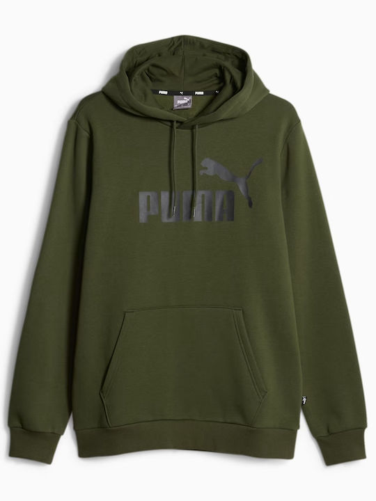 Big Logo Sweatshirt with Hood Green
