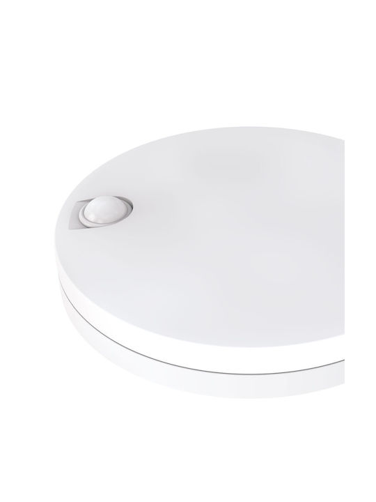 Modee Lighting Deckenleuchte 30cm LED Modee Lighting Deckenleuchte 30cm LED