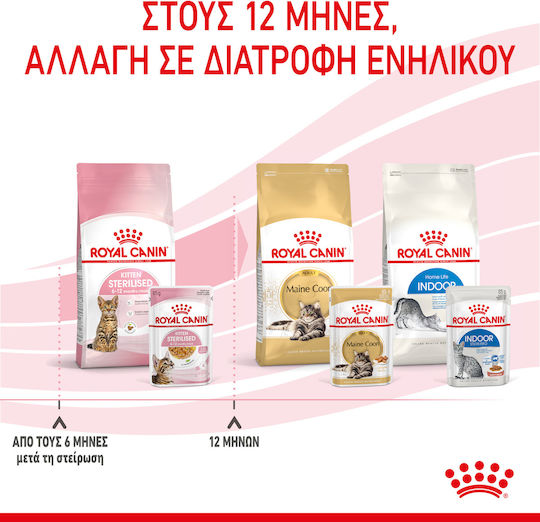 Royal Canin Sterilised Kitten Wet Food for Young Cats in Pouches 85gr