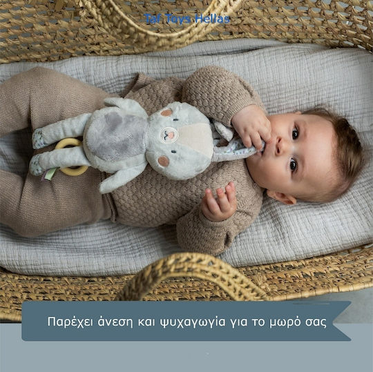 Taf Toys Κρεμαστό Παιχνίδι Καροτσιού με Μουσική