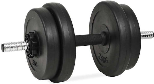 vidaXL Αλτήρες Σετ 2x 14kg