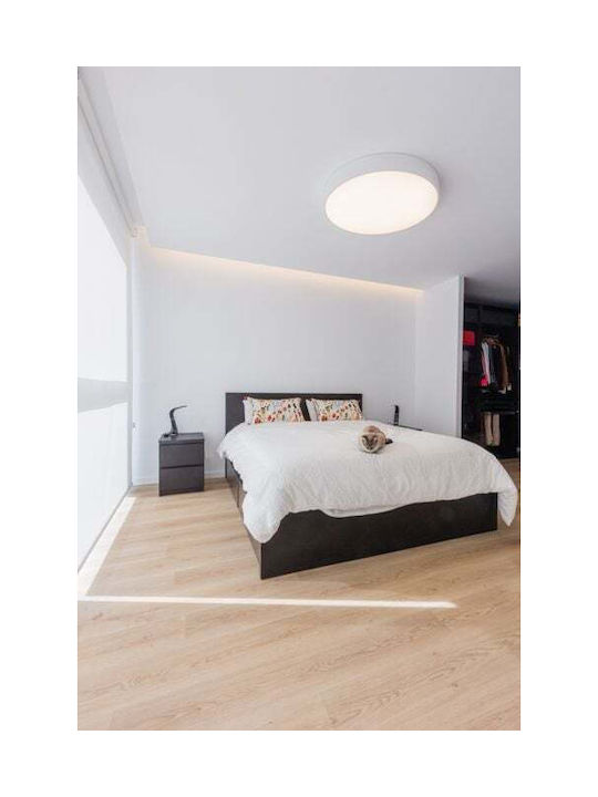 Vivalux Luka Ceiling Mount Light 50cm White with Integrated LED