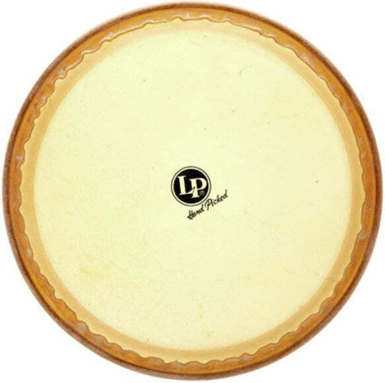 Latin Percussion 12"