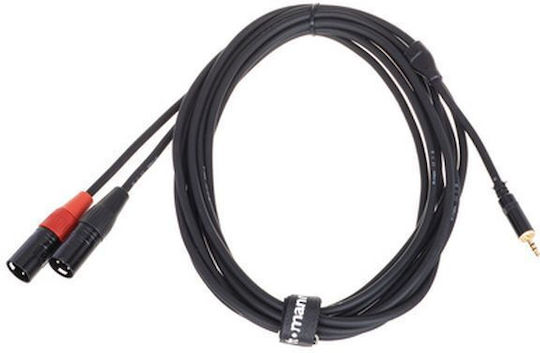 Pro snake Cable XLR male - 3.5mm male Μαύρο 3m TPY 2030 KMM