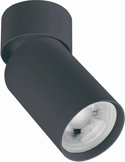 Zambelis Lights Einzel Spot mit Fassung GU10 in Schwarz Farbe
