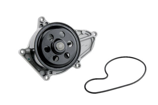 NTY Auto-Wasserpumpe für Honda Übereinstimmung / Civic / CR-V (Compact Recreational Vehicle)