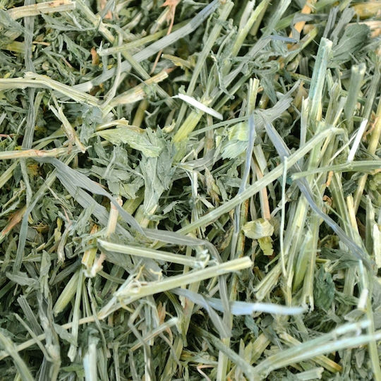 Oxbow Χόρτα για Κουνέλι Alfalfa Hay 4kg