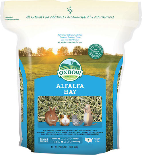 Oxbow Χόρτα για Κουνέλι Alfalfa Hay 4kg