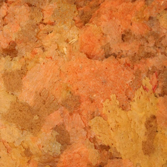 Ocean Nutrition Formula Τροφή για Χρυσόψαρα σε Νιφάδες 70γρ.