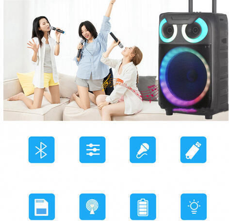 Andowl Karaoke Speaker with Wired Microphone and Lighting Effects YX8000 Q-YX8000 Black