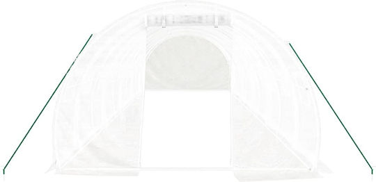 vidaXL 3188053 Θερμοκήπιο Τύπου Σπίτι με Μεταλλικό Σκελετό 10x3x2m