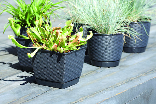 Prosperplast DRLK190 Κασπώ Rattan Λευκό με Βάση 19x19x15.9εκ.