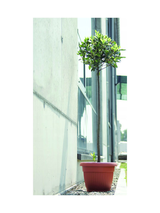 Prosperplast Terra Pot Plastic Anthracite