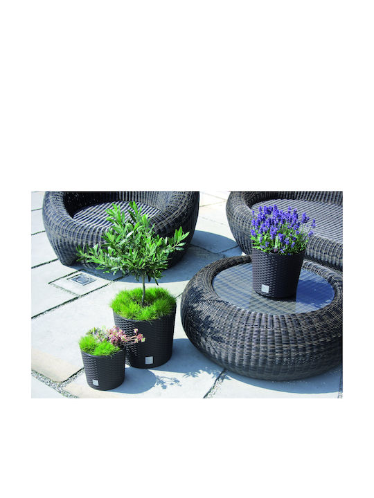 Prosperplast Rato Round DRTUS300L Κασπώ Rattan Λευκό