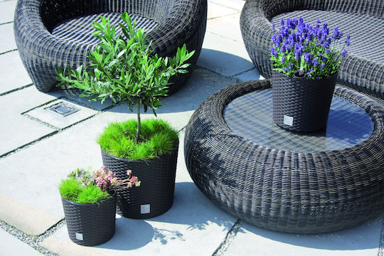 Prosperplast Rato Round DRTUS300L Blumentopf Rattan Weiß Prosperplast Rato Round DRTUS300L Blumentopf Rattan Weiß