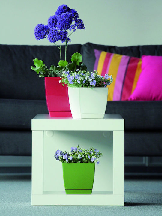Prosperplast Coubi Square P DUKP120 Planter Plastic White with Stand 12x12x11cm.