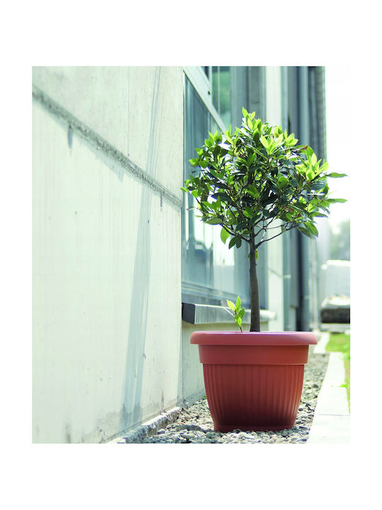 Prosperplast Terra Pot Plastic Terracotta