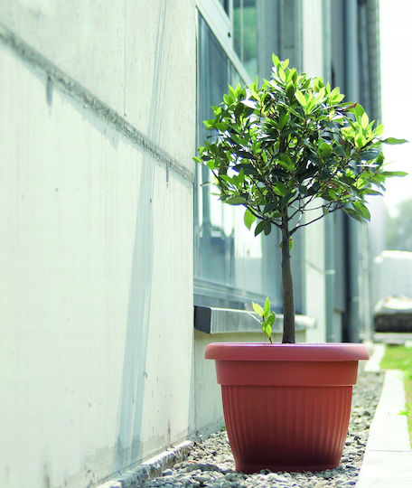 Prosperplast Terra Blumentopf Kunststoff Terracotta Prosperplast Terra Blumentopf Kunststoff Terracotta