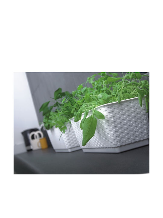 Prosperplast Ratolla Case P DRL400P Κασπώ Rattan Καφέ
