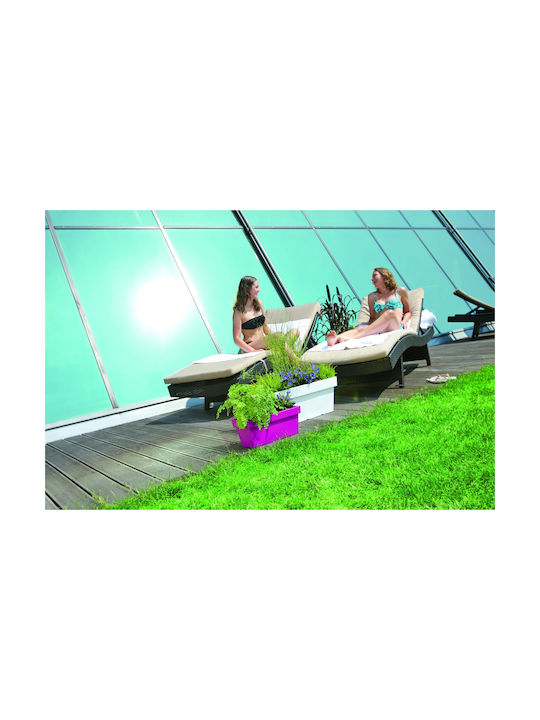 Prosperplast Lofly Case DLOFC Planter Box Plastic Gri