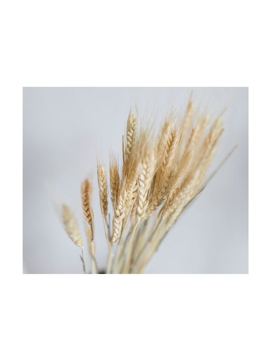 Strauß aus künstlichen Blumen Weiß 60cm Andrea House