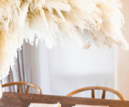 Μπουκέτο από Pampas grass Λευκό 105cm 3τμχ Andrea House
