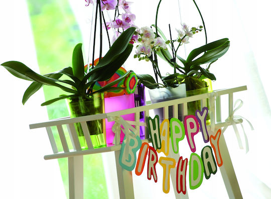 Prosperplast Coubi Orchid DSTOM Blumentopf Kunststoff Prosperplast Coubi Orchid DSTOM Blumentopf Kunststoff