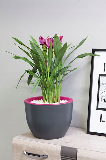 Form Plastic Muna Γλάστρα Πλαστική White+Concrete 39.5x39.5x29.5εκ.