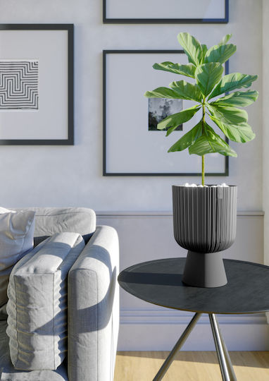 Form Plastic Keli Mika Topf Kunststoff Anthracite 29x29x43cm.