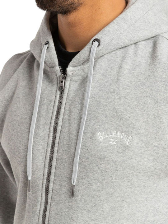 Arch Zh Sweatshirt with Hood Gray