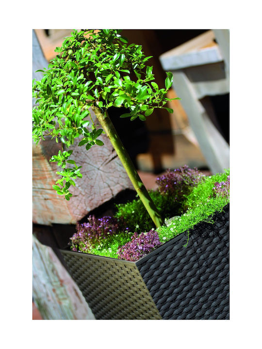 Prosperplast Rato Topf Kunststoff Anthracite 22.5x22.5x23cm.